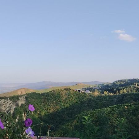 Guesthouse Fatima Sighnaghi Luaran gambar